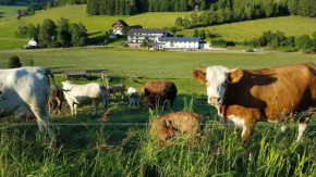 Ferienwohnung am Schneeberg
